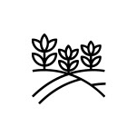 This image for Image Layouts addon